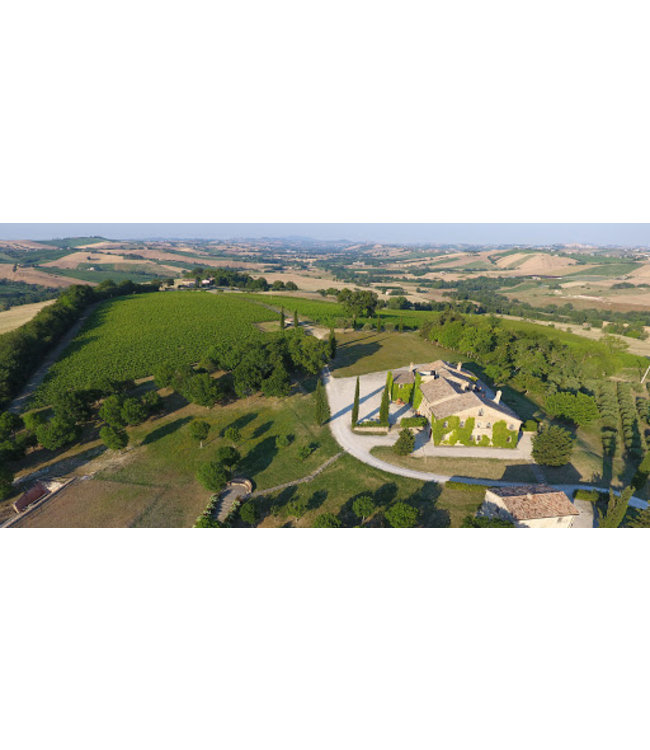 Tavignano Verdicchio Classico Superiore biologisch