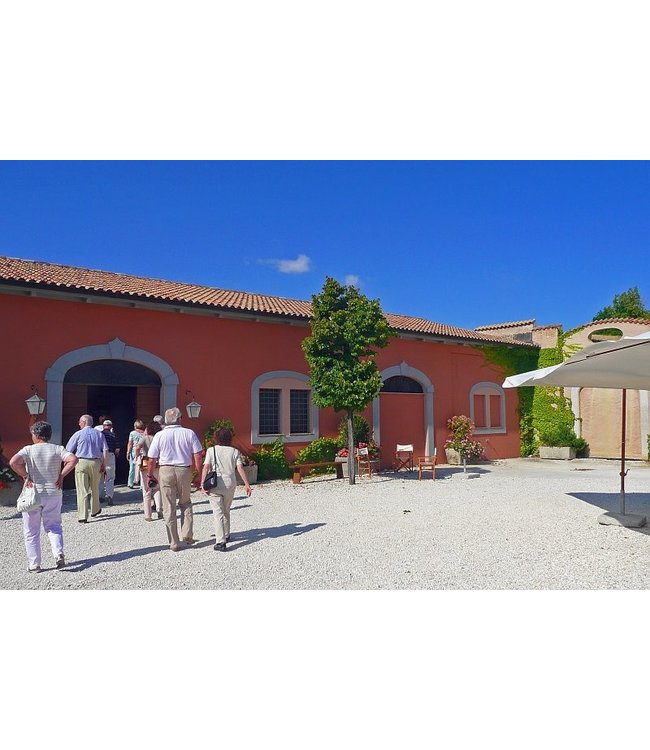 Tavignano Verdicchio Classico Superiore biologisch