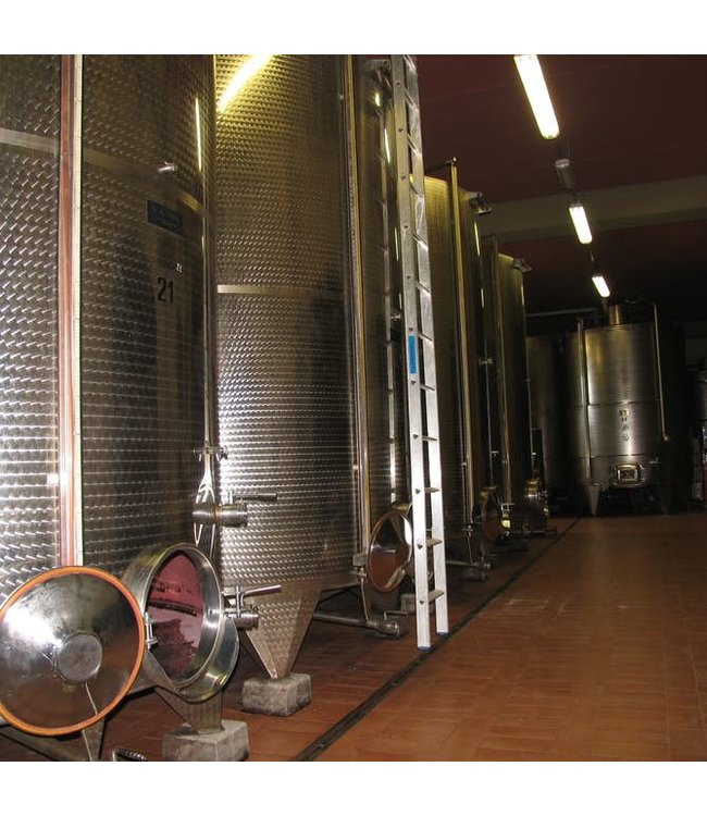 Tavignano Verdicchio Classico Superiore biologisch