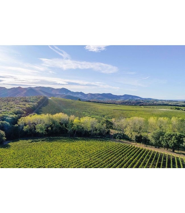 Tenuta Argentiera Poggio ai Ginepri Bolgheri DOC