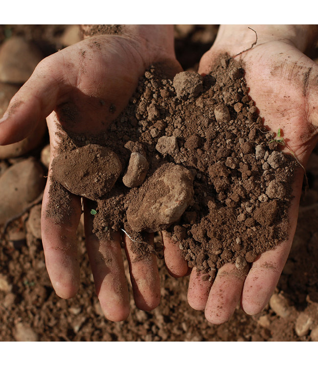 Montgras Reserva Especial Carmenere