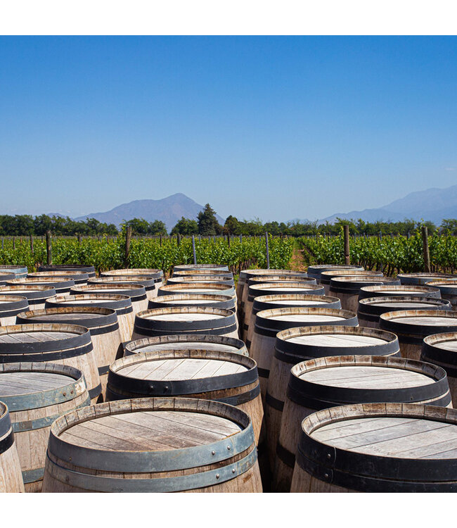 Montgras Reserva Especial Carmenere