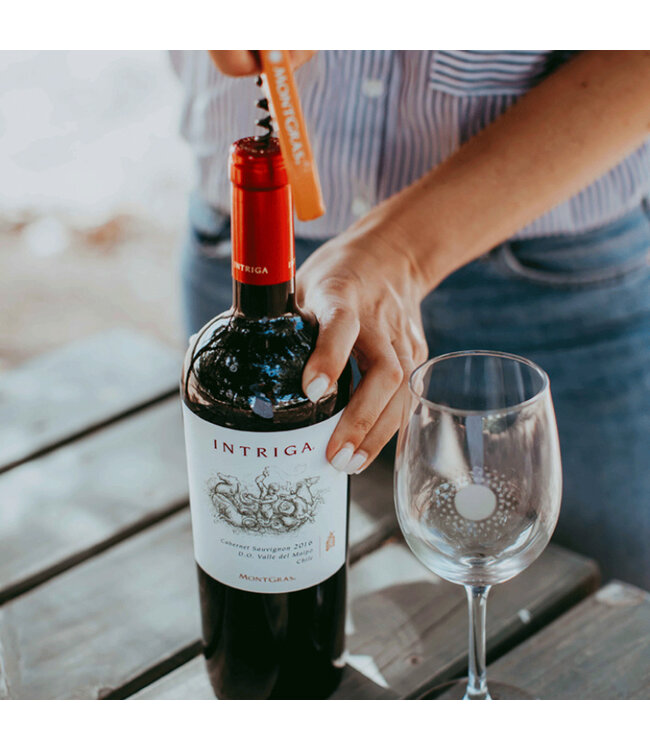 Montgras Reserva Especial Carmenere