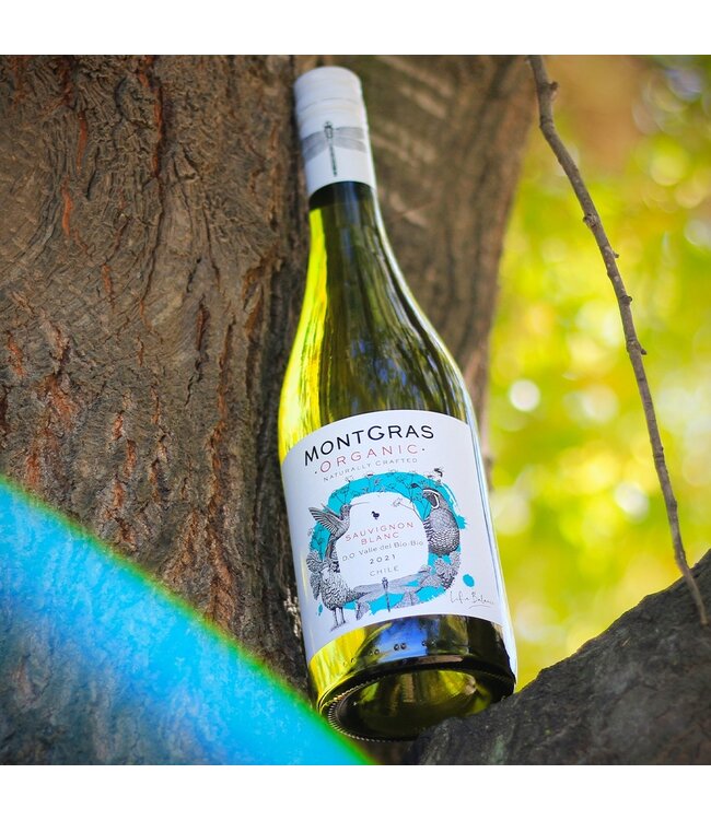 Montgras Reserva Especial Carmenere