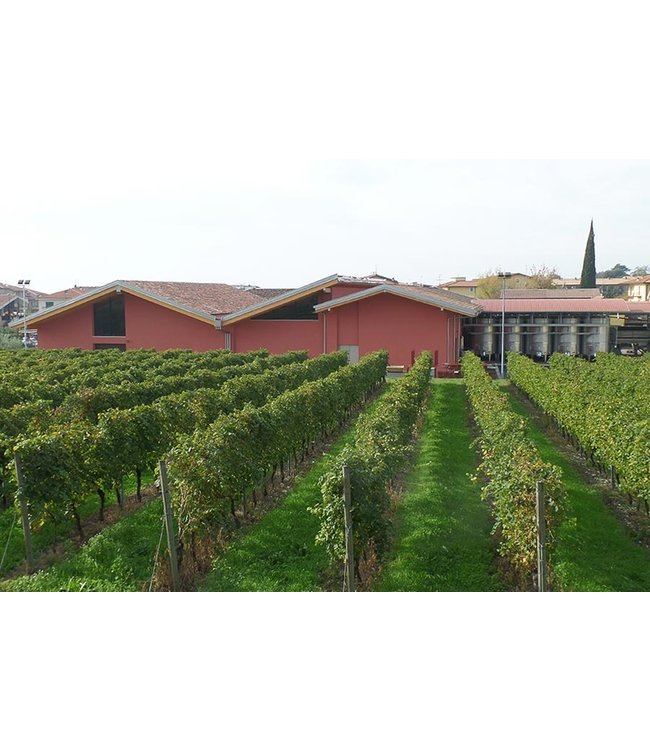 Cantine Lenotti Colle dei Tigli Bianco del Veneto