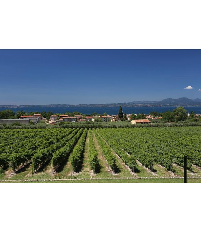 Cantine Lenotti Capomastro Rosso Veneto