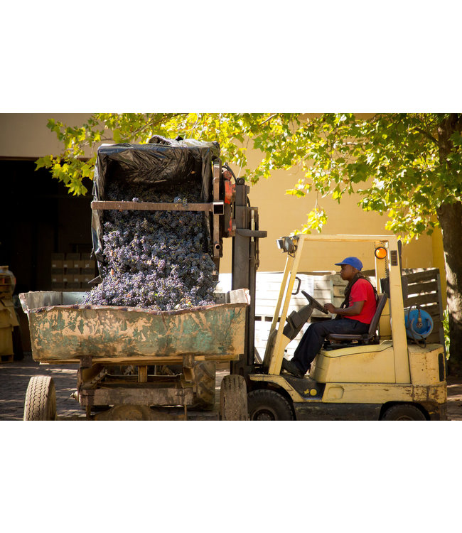 Klein Friesland  Winemakers Merlot-Cabernet Sauvignon