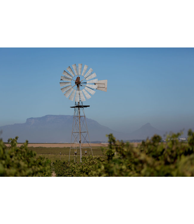 Klein Friesland  Winemakers Merlot-Cabernet Sauvignon