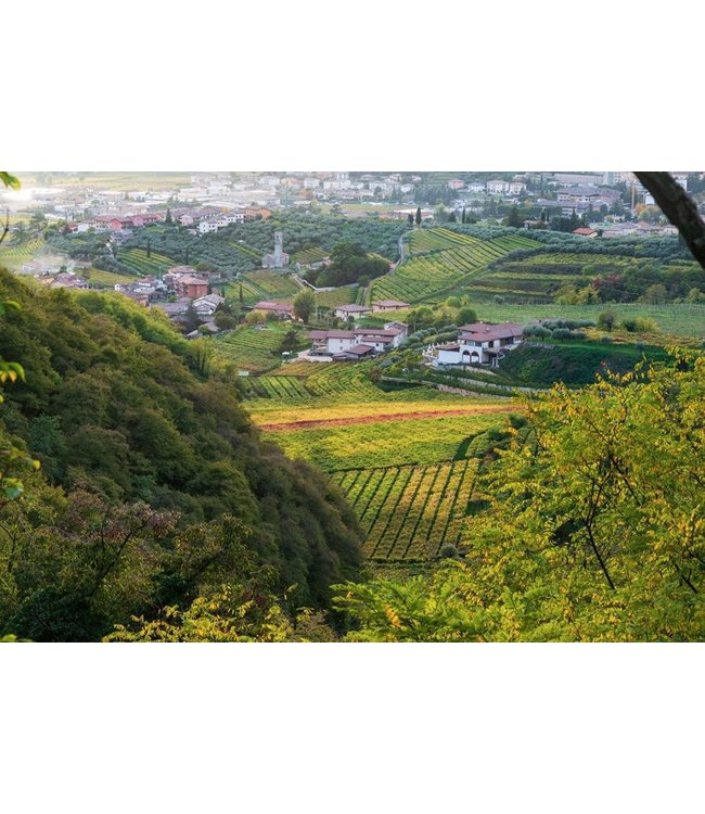 Le Preare IGT Verona corvina rosso