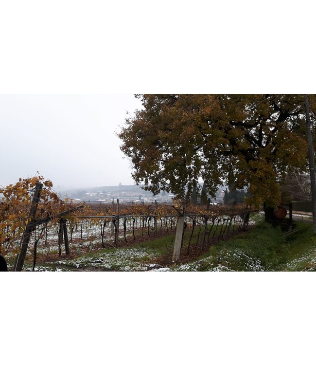 Le Preare DOC Soave bianco