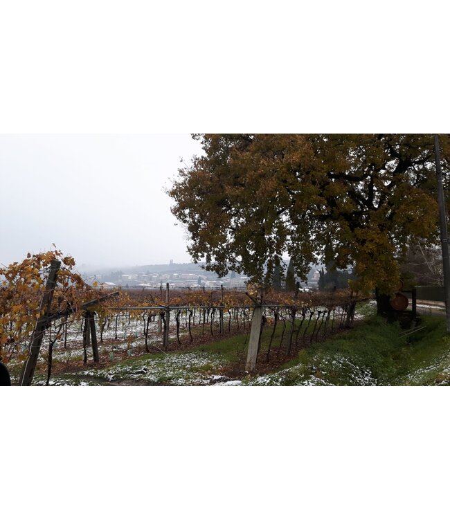 Le Preare DOC Valpolicella Ripasso Superiore