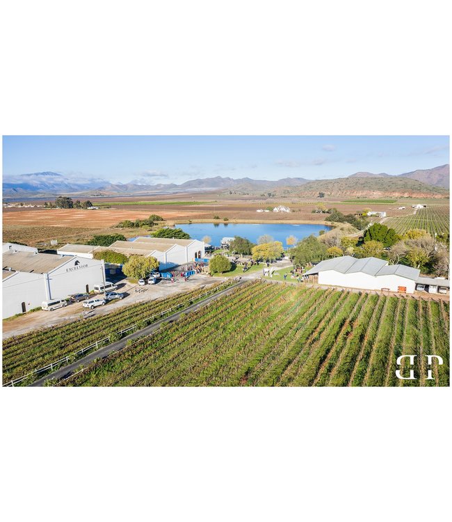 Excelsior Sauvignon Blanc Robertson