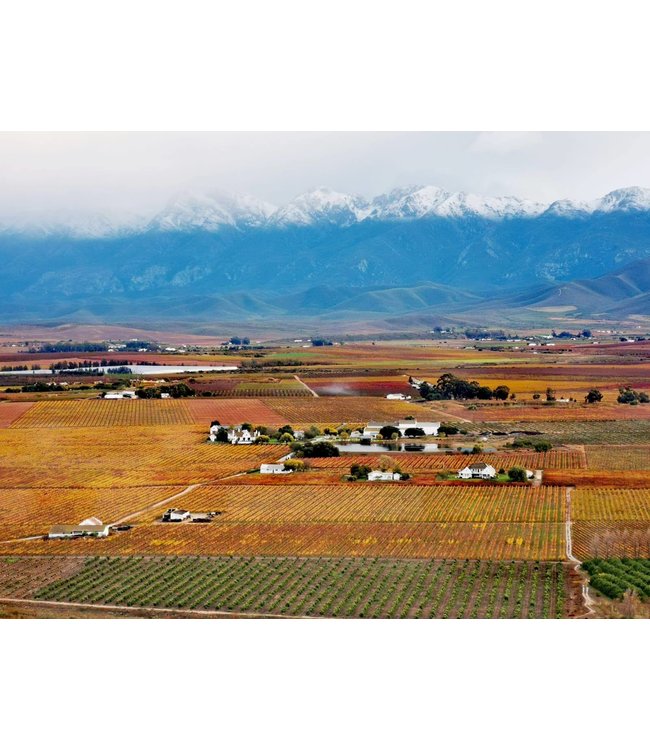 Excelsior Sauvignon Blanc Robertson