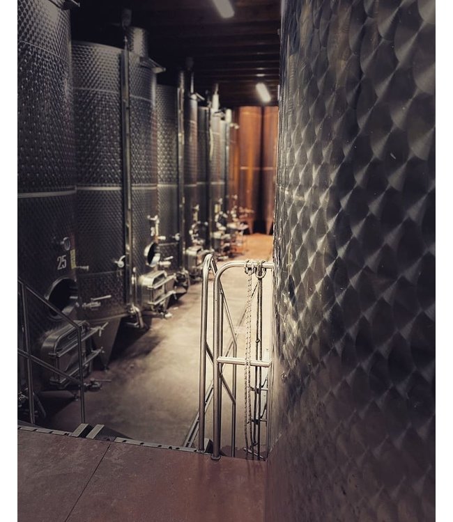 Monzio Compagnoni Franciacorta Brut Millesimato