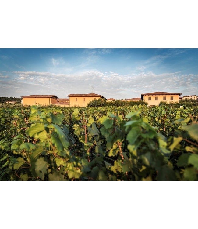 Monzio Compagnoni Franciacorta Brut Millesimato