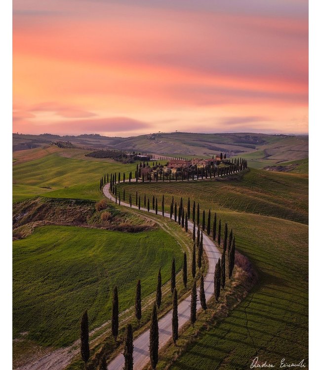 Pipoli Rosato Aglianico Basilicata IGT