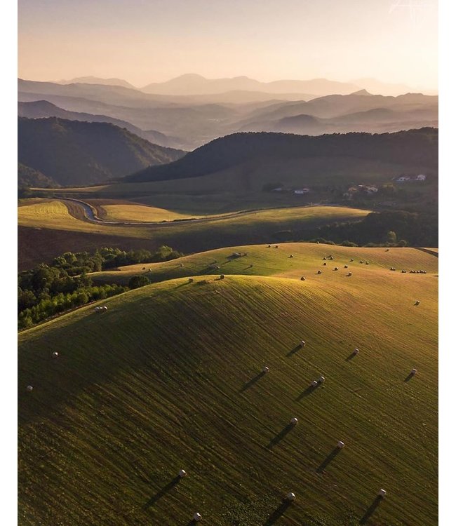 Pipoli Rosato Aglianico Basilicata IGT