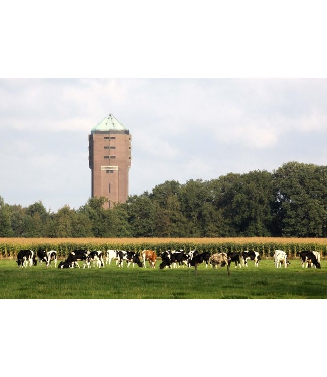 Liphuster kruidenlikeur lyts