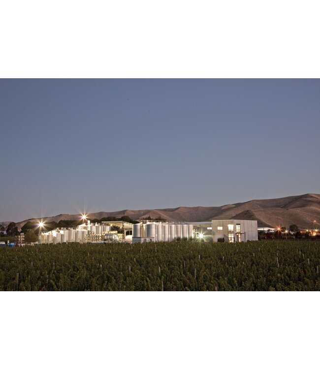 Mount Riley Pinot Gris Marlborough