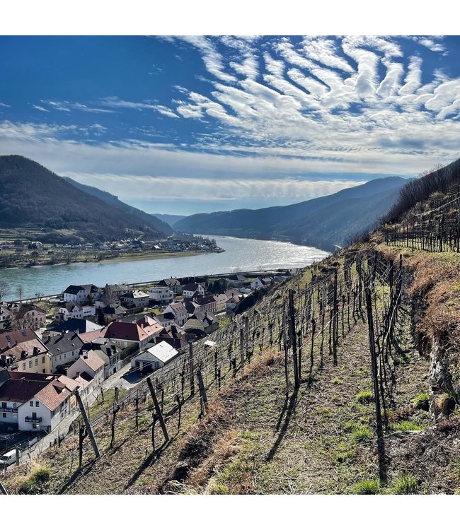 Gritsch Grüner Veltliner Axpoint