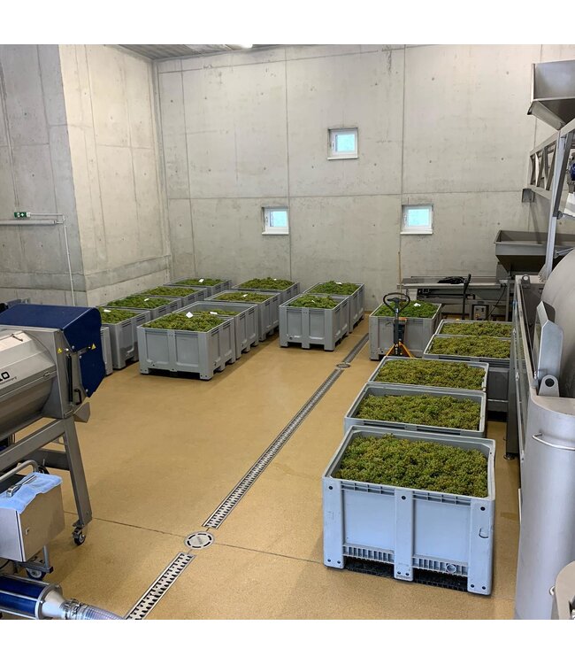 Gritsch Grüner Veltliner Axpoint