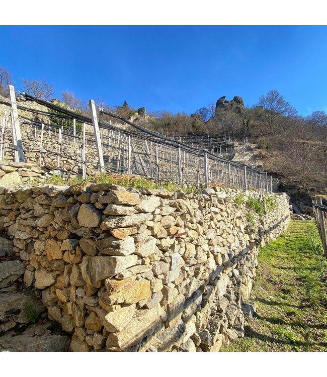 Gritsch Kalmuck Grüner Veltliner Federspiel