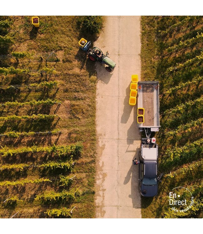 Wolfberger Hengst Grand Cru Pinot Gris