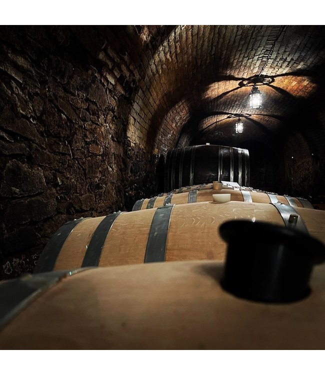 Weingut Eichinger Kamptal Gruner Veltliner Strass