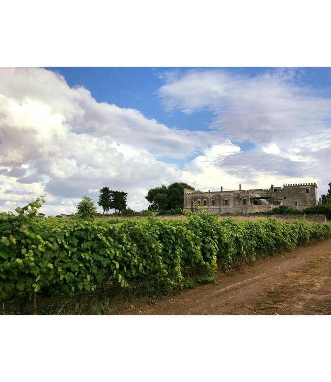 Varvaglione Primo Spumante Brut Rose