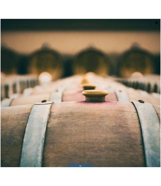 Varvaglione 12e Mezzo Primitivo Organic Puglia IGP