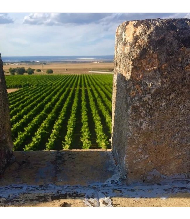 Varvaglione 12e Mezzo Primitivo Puglia IGP duurzaam geteeld