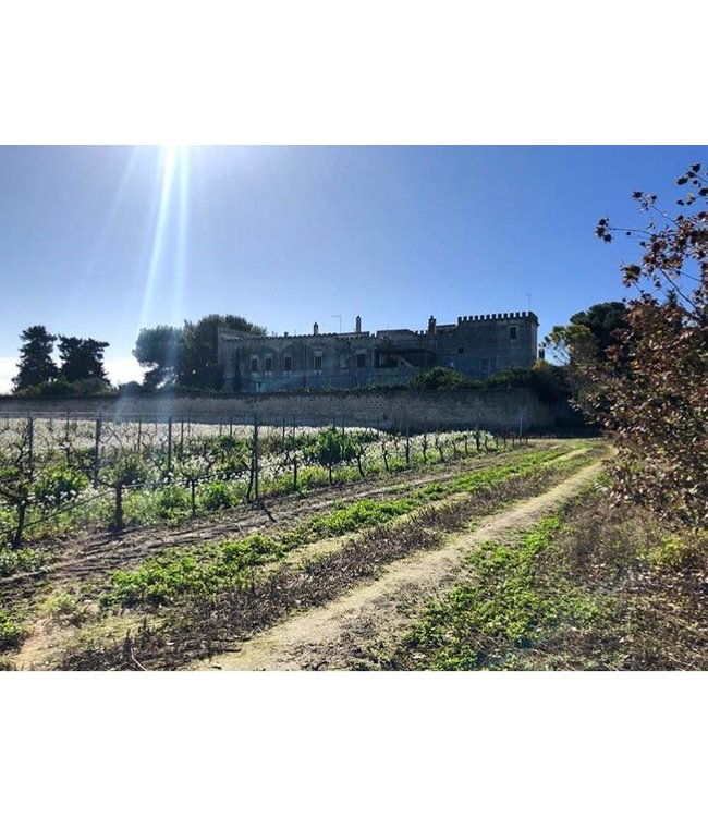 Varvaglione 12e Mezzo Primitivo Puglia IGP duurzaam geteeld