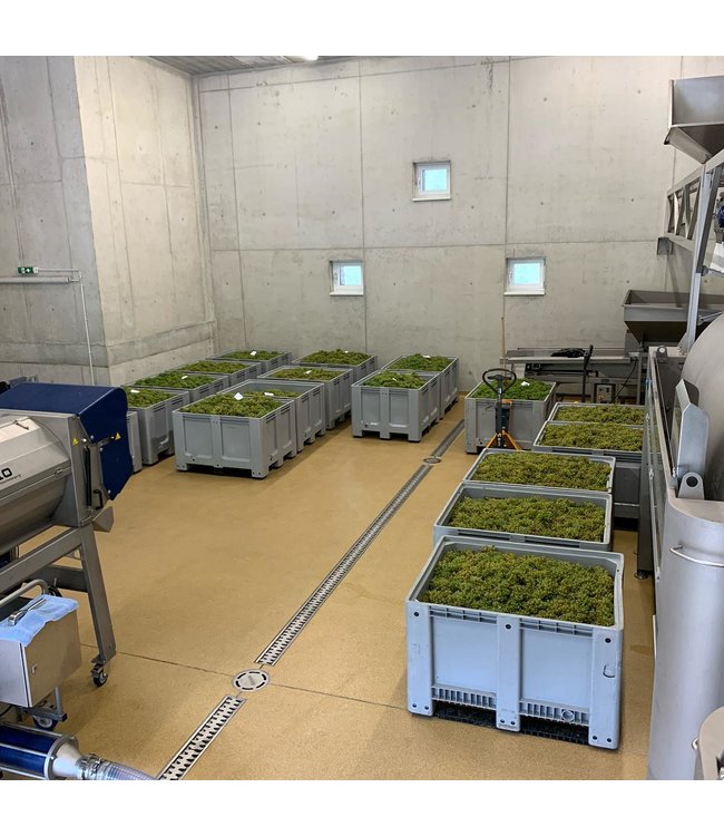 Gritsch Grüner Veltliner Federspiel Kirchpoint