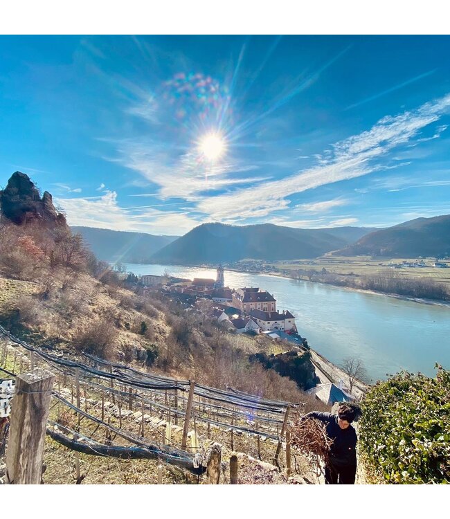 Gritsch Grüner Veltliner Federspiel Kirchpoint