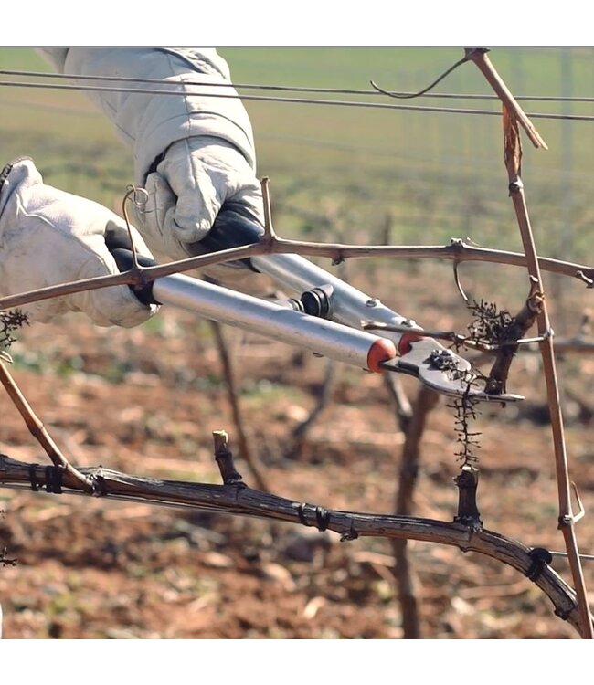 El Pacto Rioja D.O.C. in Geschenkkoker duurzaam geteeld