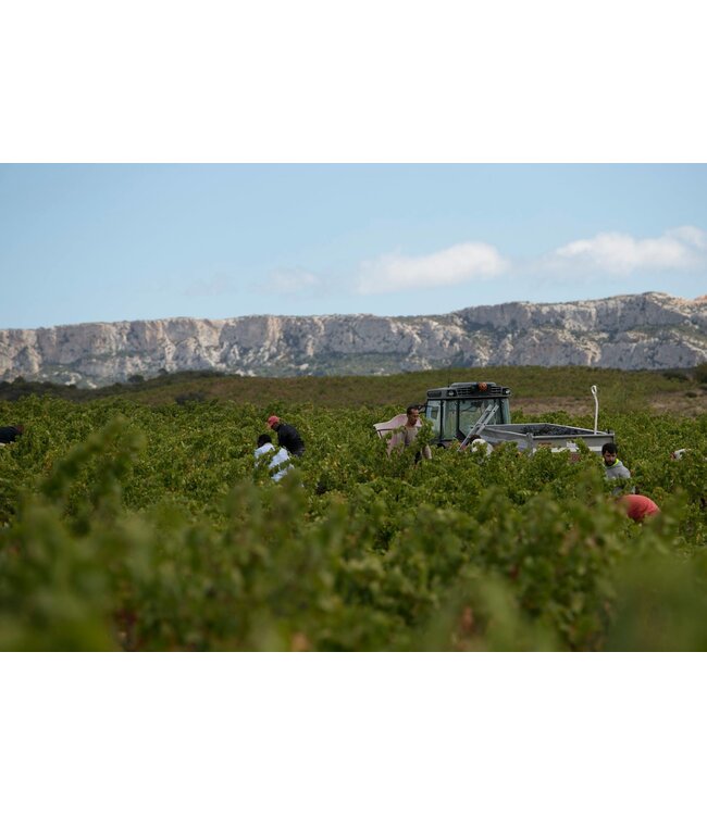 Lafage Cuvee Lea AC Cotes de Roussillon