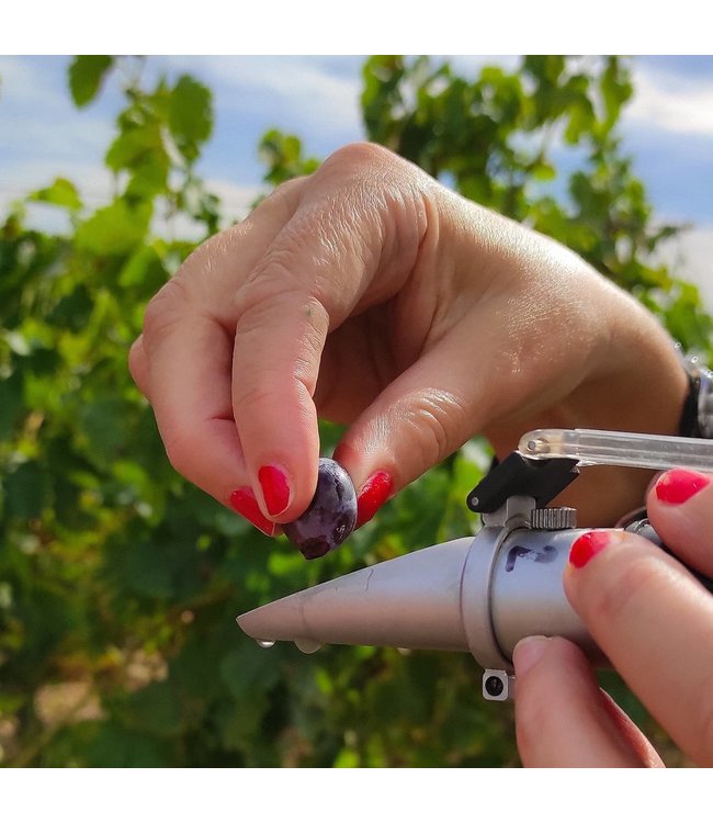 Lafage Cuvee Lea AC Cotes de Roussillon