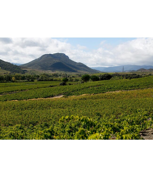 Lafage Authentique Cotes du Roussillon