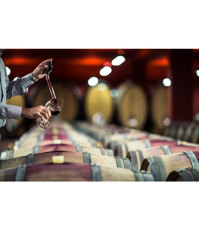 Cantine Tramin Lagrein Urban Riserva