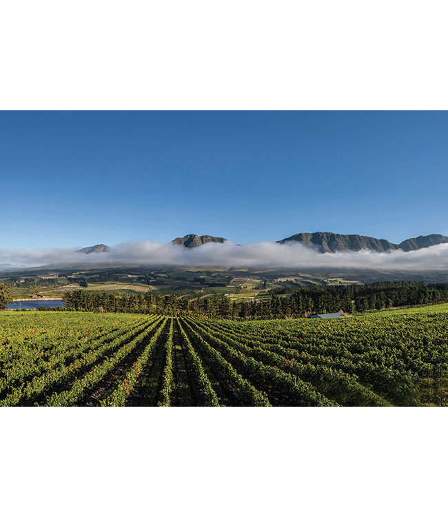 Wijnpakket Benguela Cove Cool Climate wijnen