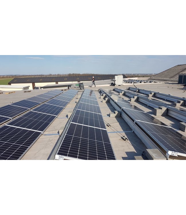 Weingut Leth Wagram Gruner Veltliner Schafflerberg Biologisch