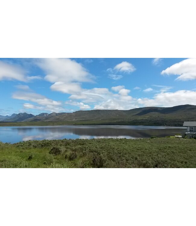 Benguela Cove Vinography Semillon-Sauvignon Blanc