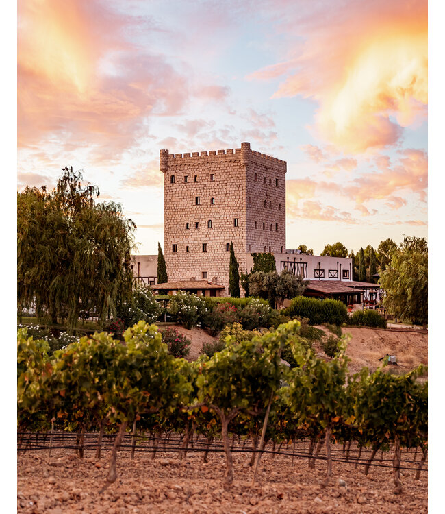 Pago de Cirsus Seleccionada Navarra