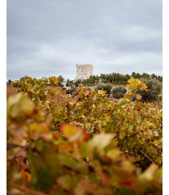 Pago de Cirsus Seleccionada Navarra