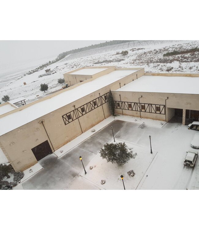 Pago de Cirsus Seleccionada Navarra