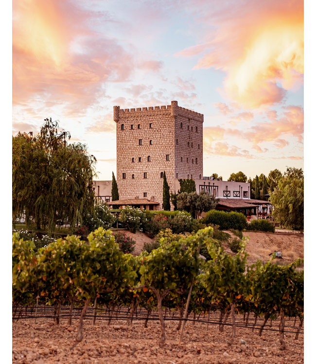 Pago de Cirsus Oak Aged Navarra