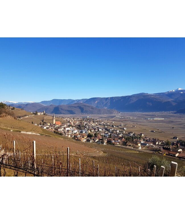 Cantine Tramin Cuvee Rosso T