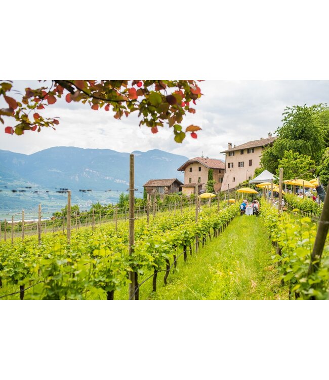 Cantine Tramin Cuvee Rosso T