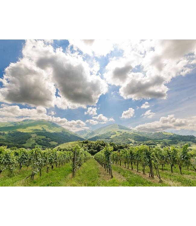 Ferret Cotes de Gascogne Colombard-Ugni Blanc (12 halen, 10 betalen)