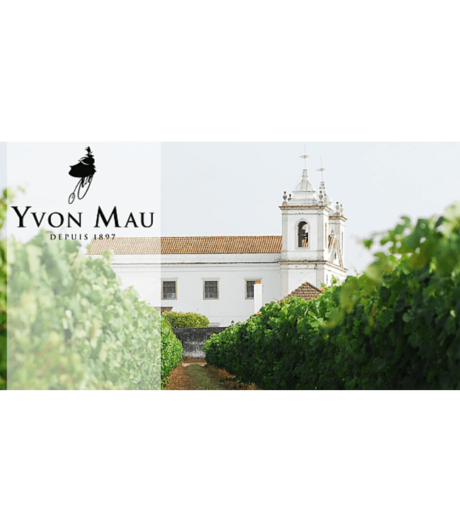 Pierre Jean Merlot-Cabernet Sauvignon 12 halen, 10 betalen